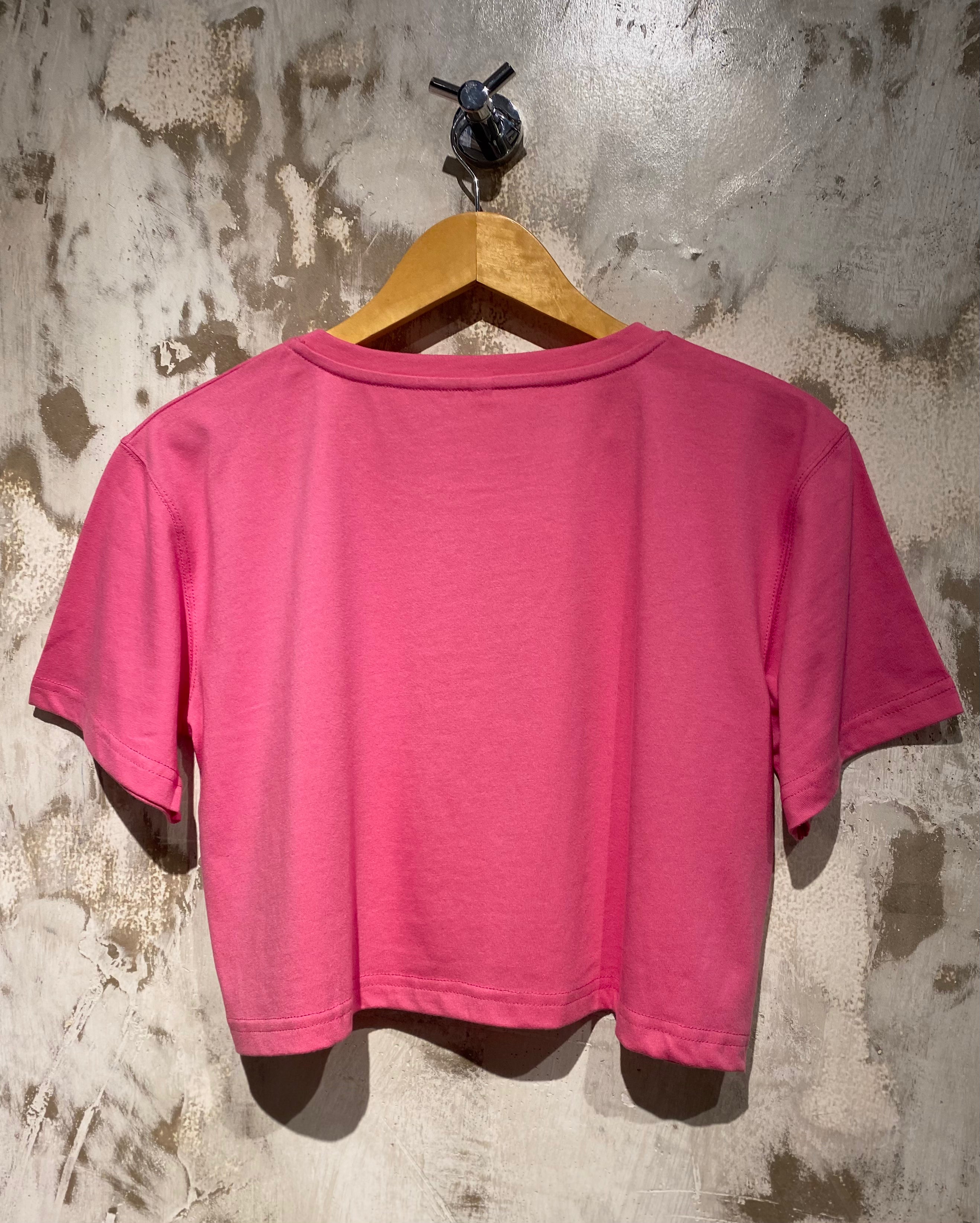 Nairobae Peach Crop - Top